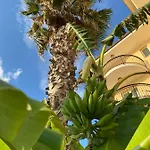 Lion's Hotel 3*