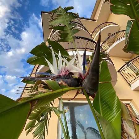 Hotel Lion's 3*