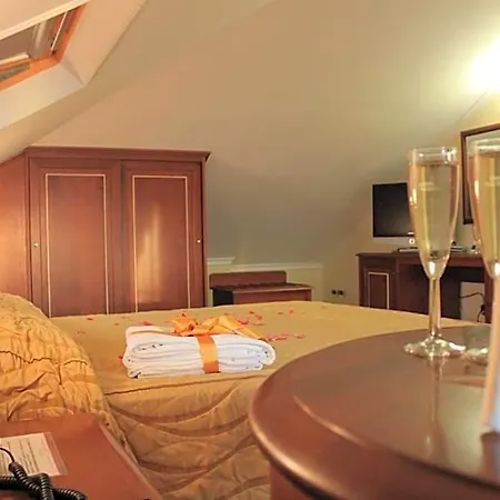 Hotel Lion's