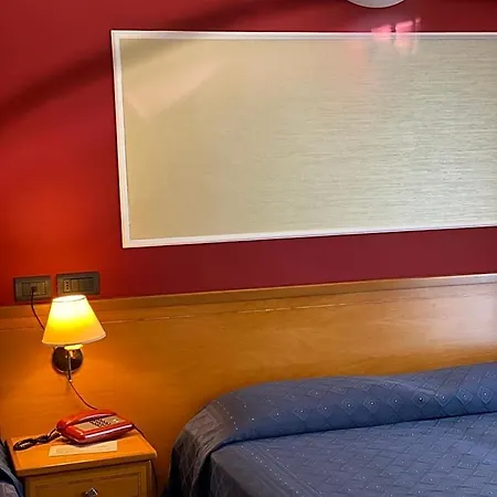 Hotel Lion's 3*