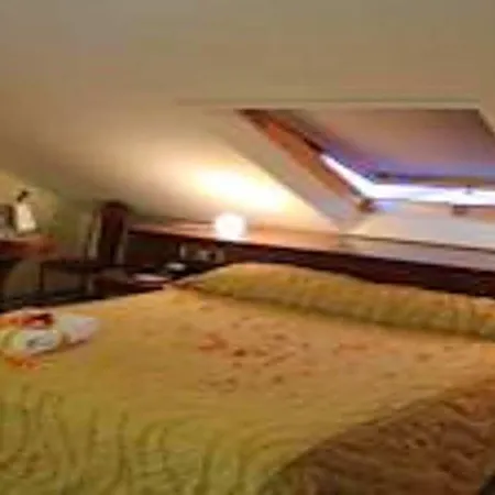 Hotel Lion's 3*