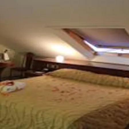 Lion's Hotel Falerna